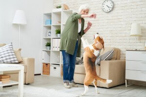 in-home dog training